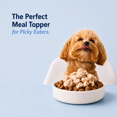 Meeku’s Freeze-Dried Chicken Breast for Dogs — 100% Real Chicken Treat & Meal Topper