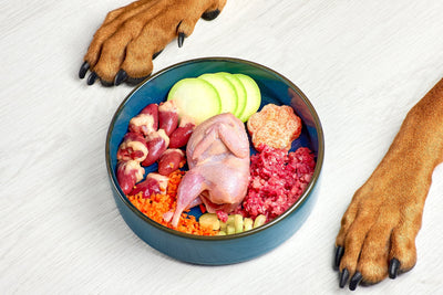 Freeze-Dried Raw Dog Food vs Cooked: What’s Safer for Dogs & Cats in India?
