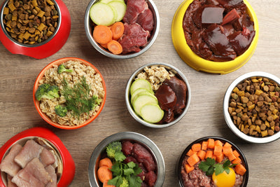 Wet Food vs Dry Food vs Fresh Food vs Air-Dried vs Freeze-Dried Dog Food: Which Is Actually Best?