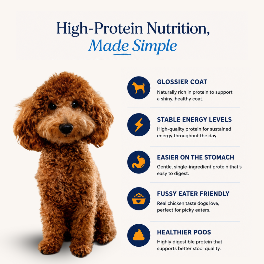 Meeku’s Freeze-Dried Chicken Breast for Dogs — 100% Real Chicken, Nothing Else | 50g