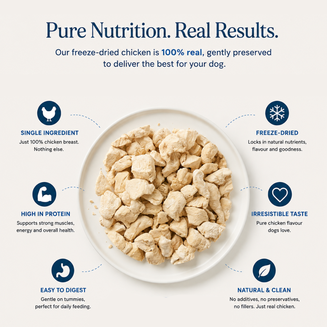 Meeku’s Freeze-Dried Chicken Breast for Dogs — 100% Real Chicken, Nothing Else | 50g