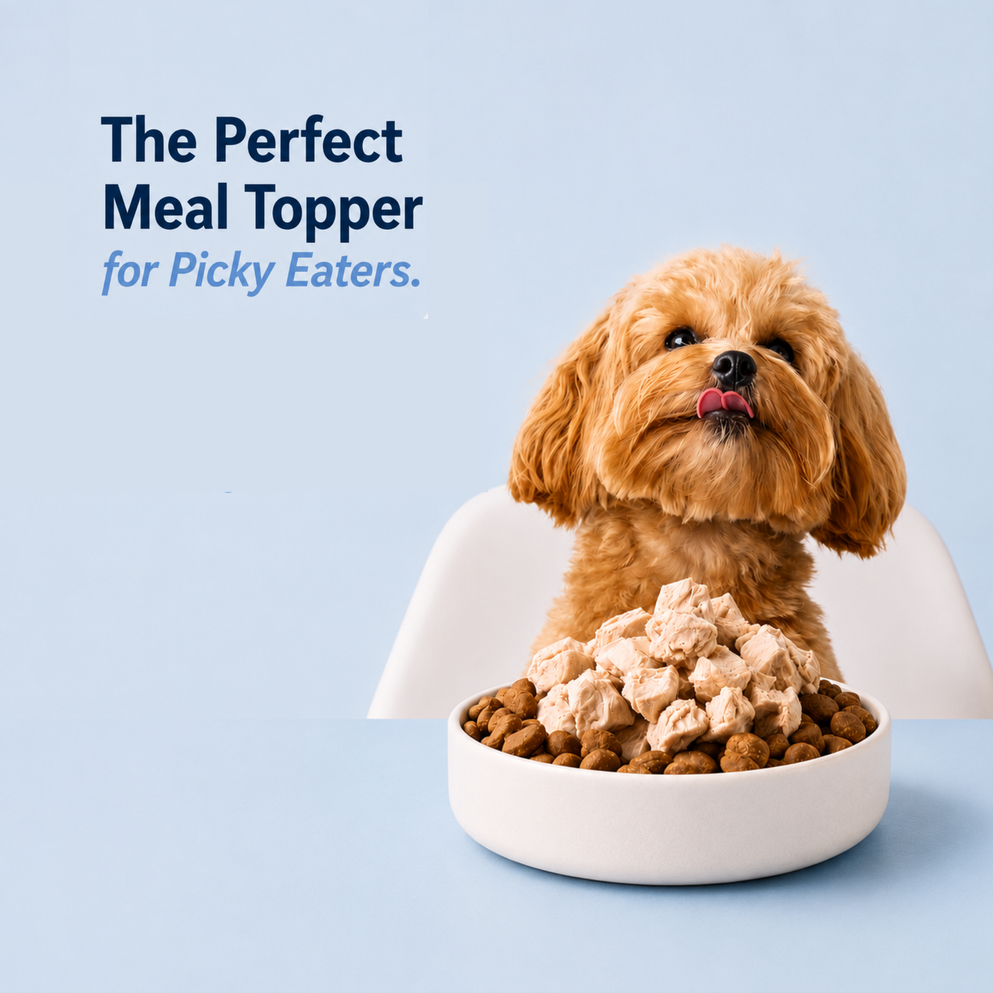 Meeku’s Freeze-Dried Chicken Breast for Dogs — 100% Real Chicken, Nothing Else | 50g
